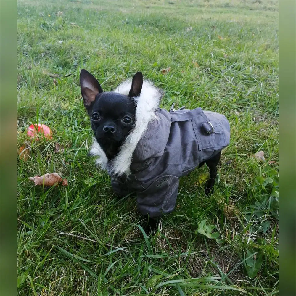 Warm Cotton Winter Dog Jacket Hoodie