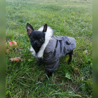 Warm Cotton Winter Dog Jacket Hoodie