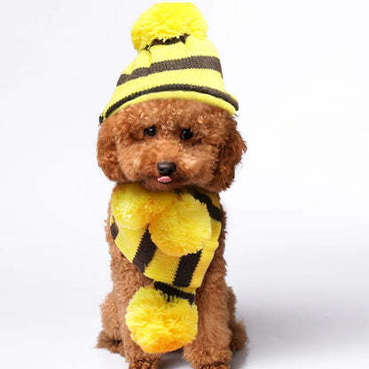 Knitted Dog Hat & Scarf Set