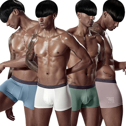 4Pcs Boxer Men Underwear