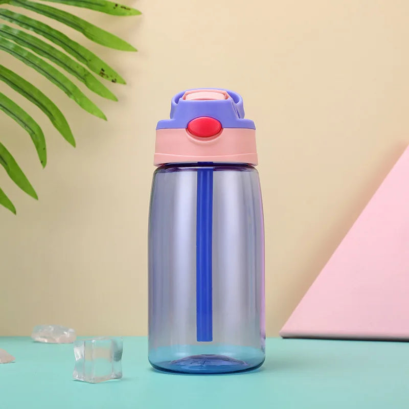 480ml Water Bottle With Straw
