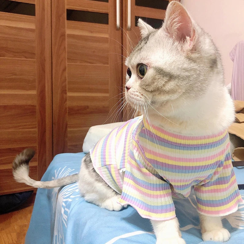 Striped Cotton Cat Vest – Spring Pet Clothes for Cats
