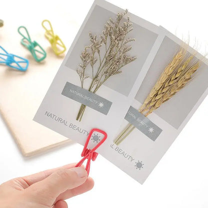 Multipurpose Stainless Steel Clips for Clothes & Storage