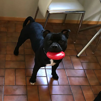 Interactive Squeaking Treat Dispensing Dog Disc