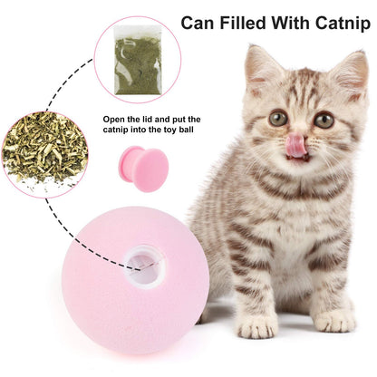 Cat Toys Interactive Ball