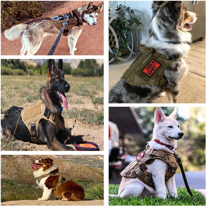 Tactical Dog Training Harness