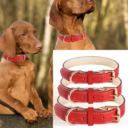 Genuine Leather Padded Dog Collar