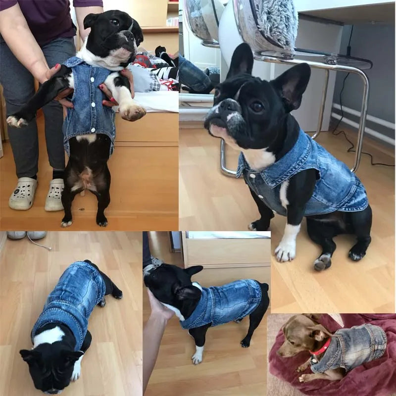 Denim Dog Jacket with Hood