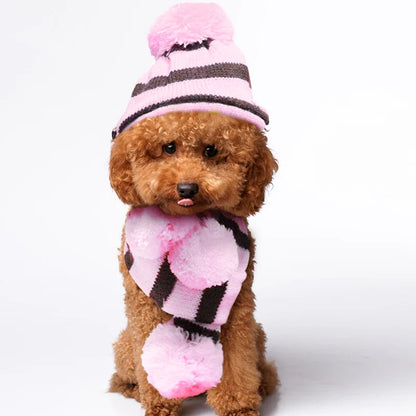 Knitted Dog Hat & Scarf Set