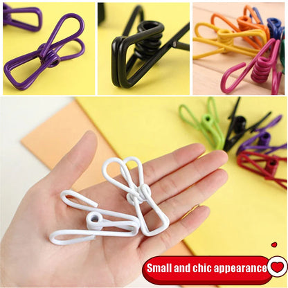 Multipurpose Stainless Steel Clips for Clothes & Storage
