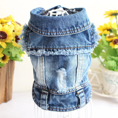 Denim Dog Jacket with Hood