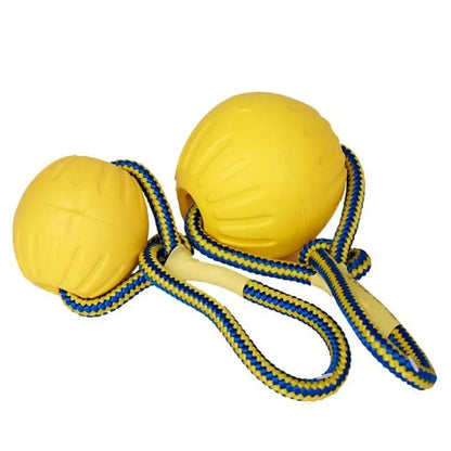 Interactive EVA Dog Fetch Ball