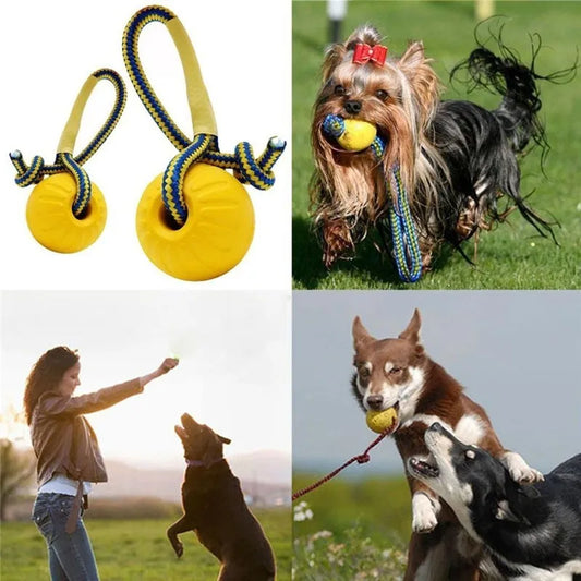 Interactive EVA Dog Fetch Ball
