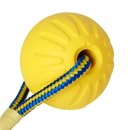 Interactive EVA Dog Fetch Ball
