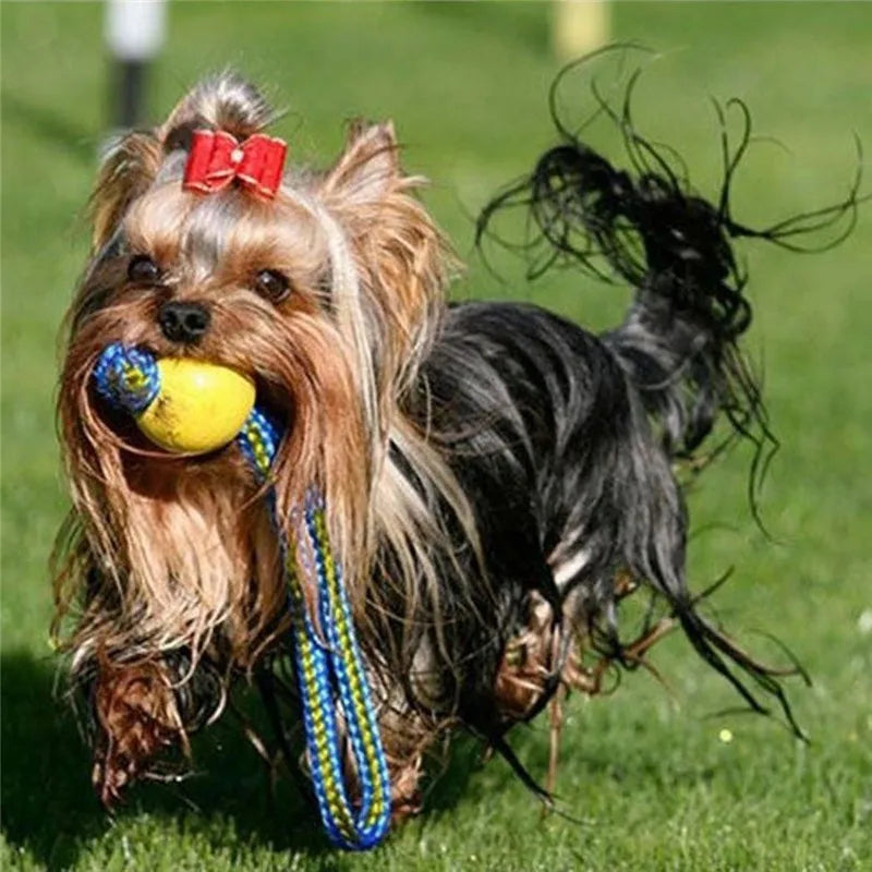 Interactive EVA Dog Fetch Ball
