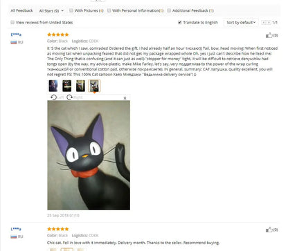 Hotuocho Black Cat Saving Box