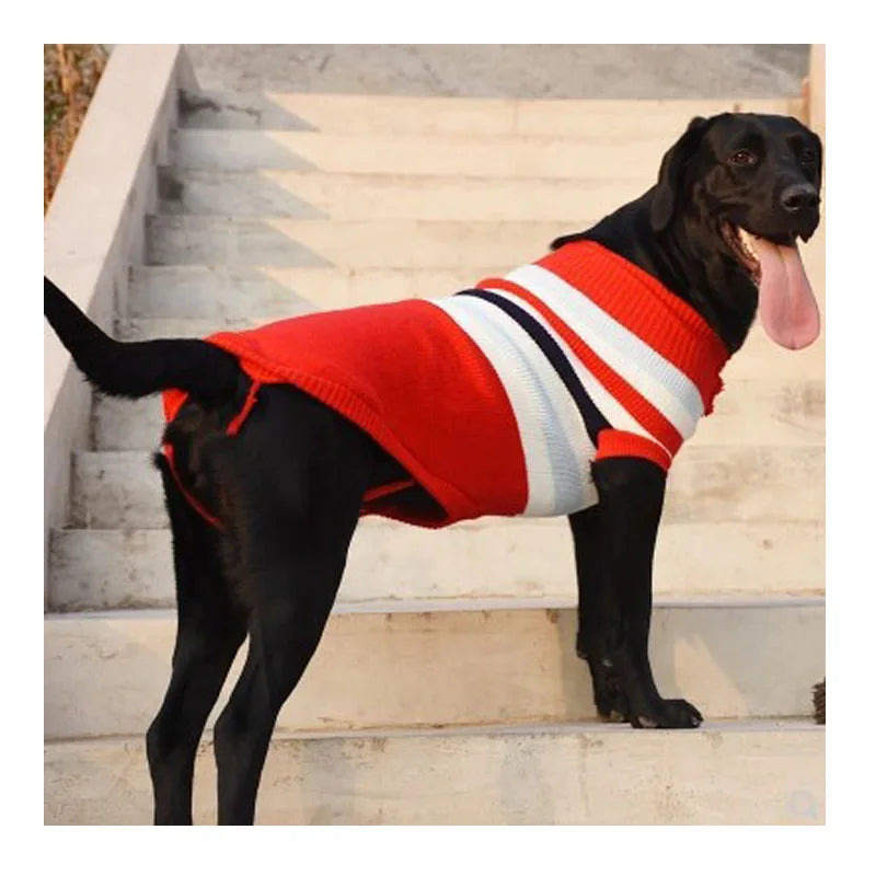 Large Dog Knitted Sweater