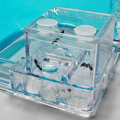 Acrylic Ant Farm Habitat with Nutrient Gel