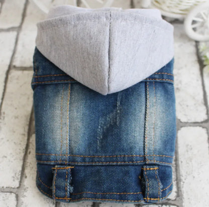 Denim Dog Jacket with Hood