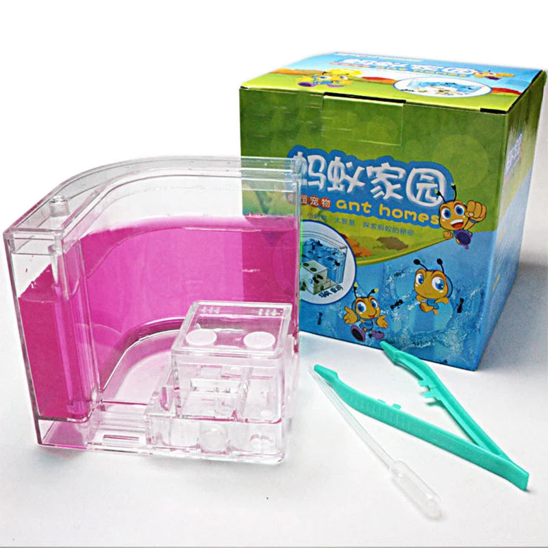 Acrylic Ant Farm Habitat with Nutrient Gel
