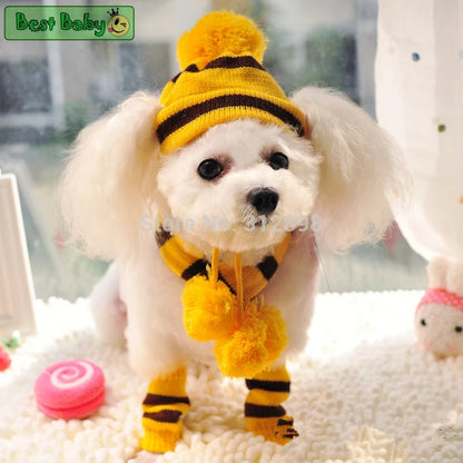 Winter Dog Accessories Set