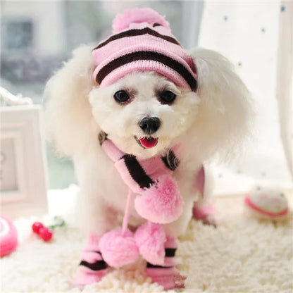 Winter Dog Accessories Set