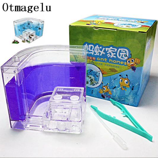 Acrylic Ant Farm Habitat with Nutrient Gel