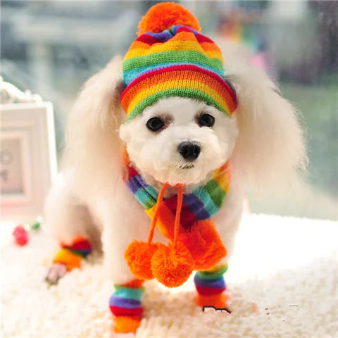Winter Dog Accessories Set