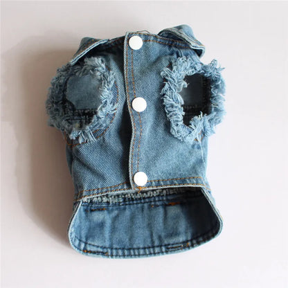 Denim Dog Jacket with Hood