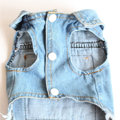 Denim Dog Jacket with Hood