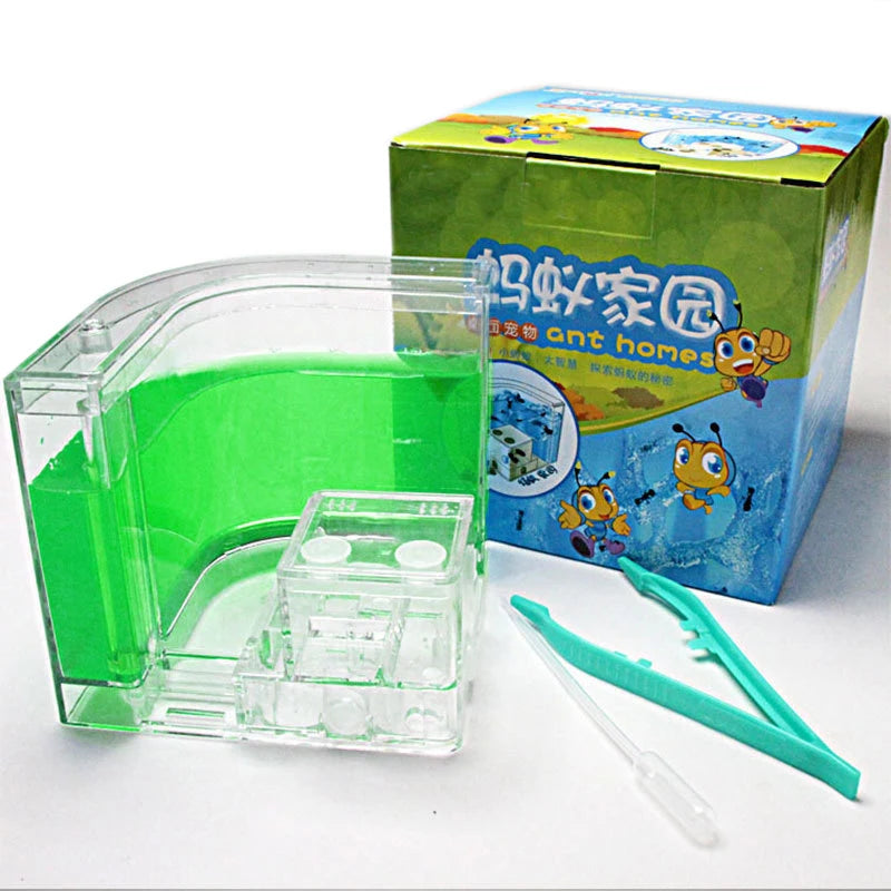 Acrylic Ant Farm Habitat with Nutrient Gel