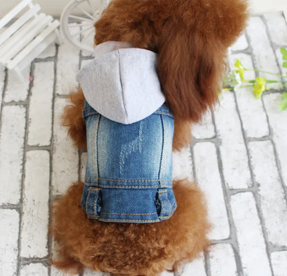 Denim Dog Jacket with Hood