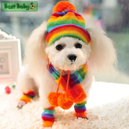 Winter Dog Accessories Set