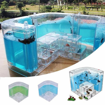 Acrylic Ant Farm Habitat with Nutrient Gel