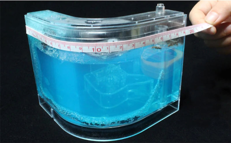 Acrylic Ant Farm Habitat with Nutrient Gel