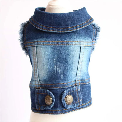 Denim Dog Jacket with Hood