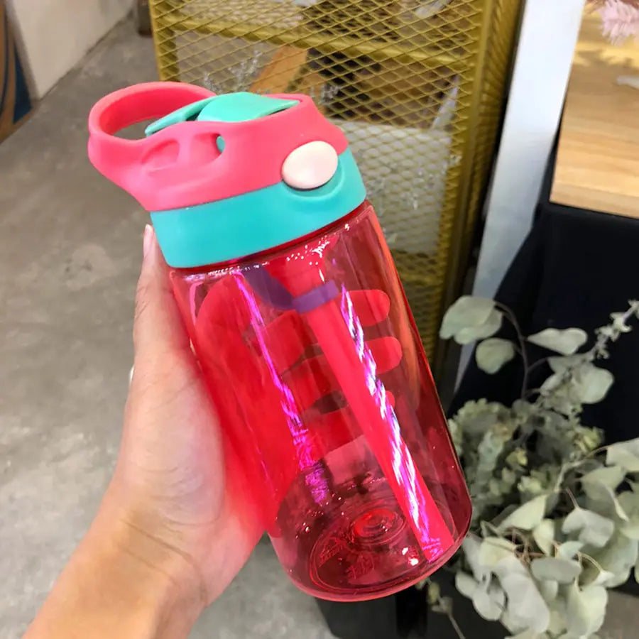 480ml Water Bottle With Straw