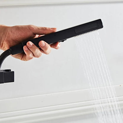 Black 2-Function Handheld Shower & Spray Gun Set