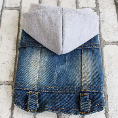 Denim Dog Jacket with Hood