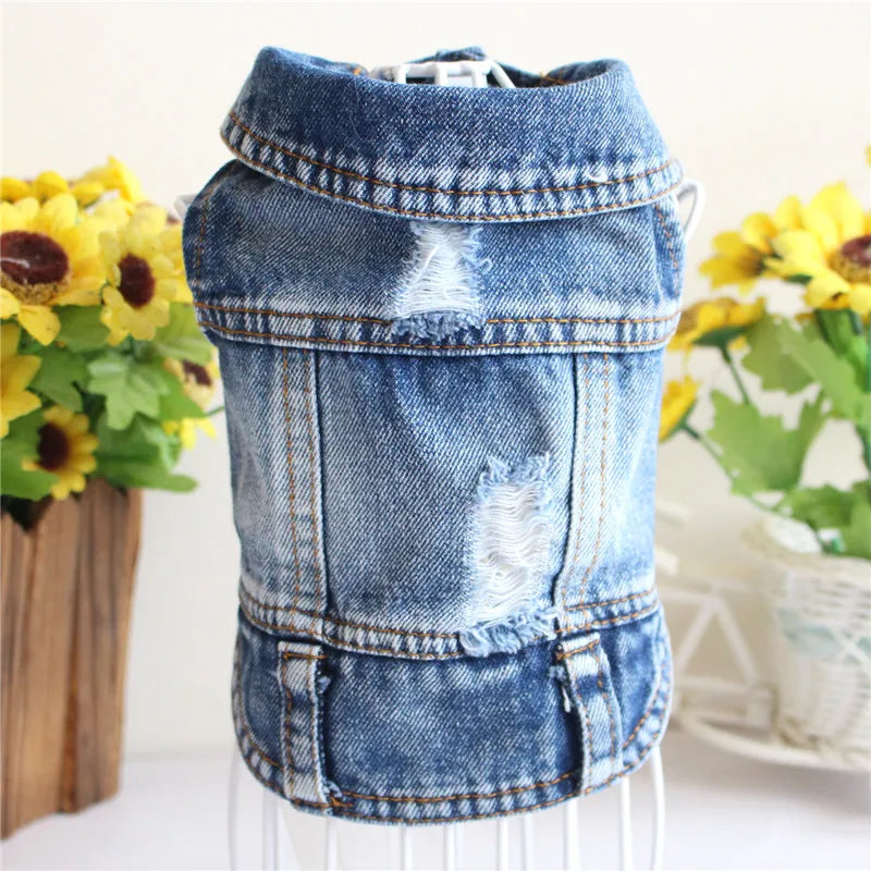 Denim Dog Jacket with Hood