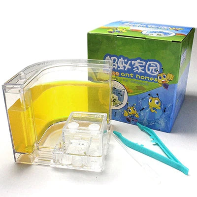 Acrylic Ant Farm Habitat with Nutrient Gel