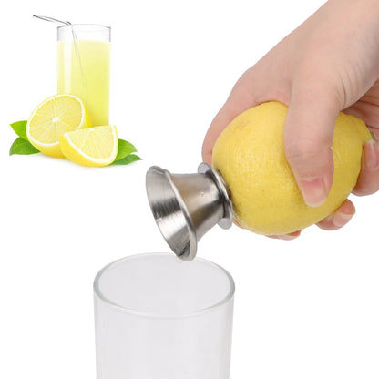 Stainless Steel Citrus Fruit Sprayer