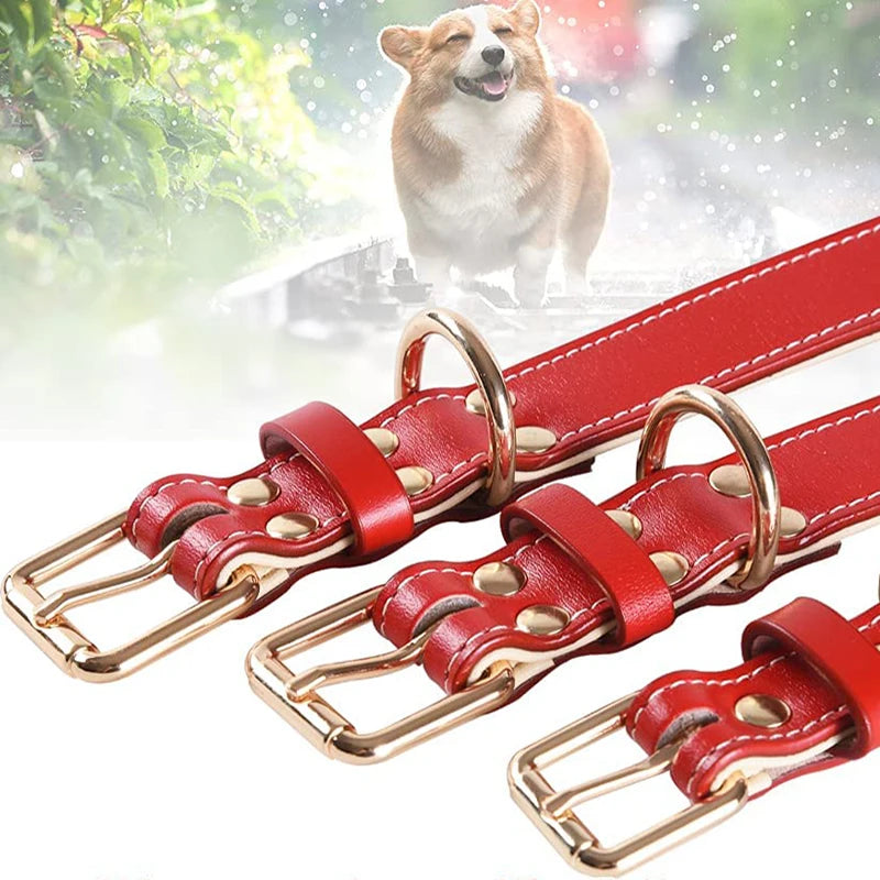 Genuine Leather Padded Dog Collar