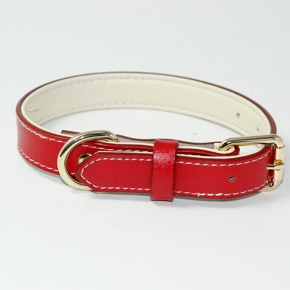 Genuine Leather Padded Dog Collar