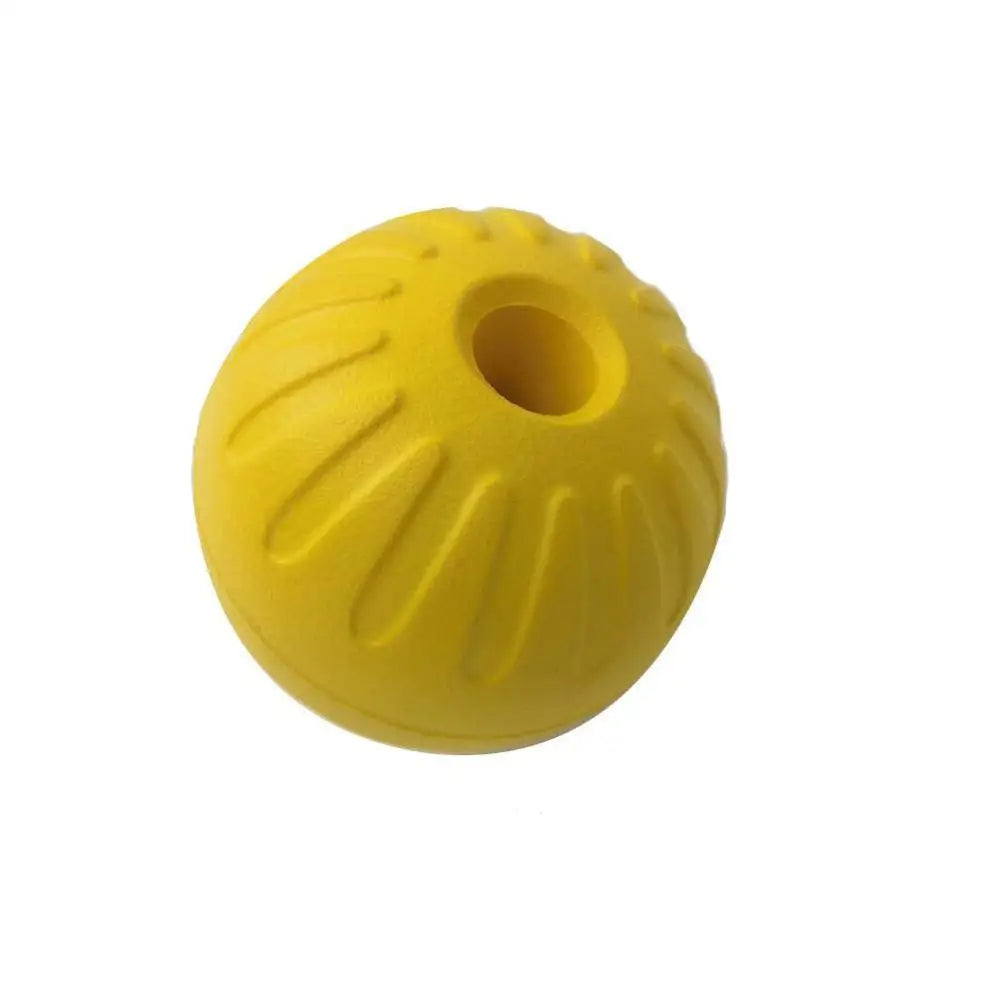Interactive EVA Dog Fetch Ball