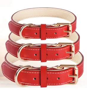 Genuine Leather Padded Dog Collar
