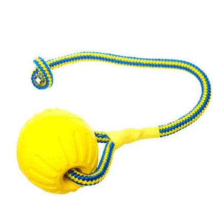 Interactive EVA Dog Fetch Ball