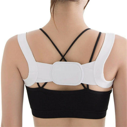 Back Support belt