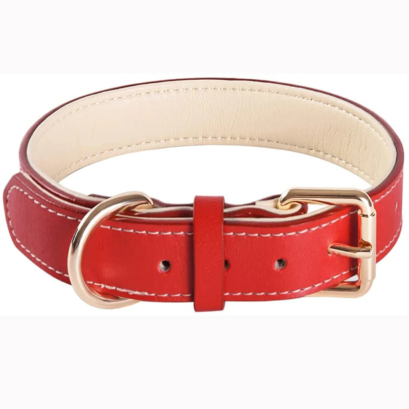 Genuine Leather Padded Dog Collar