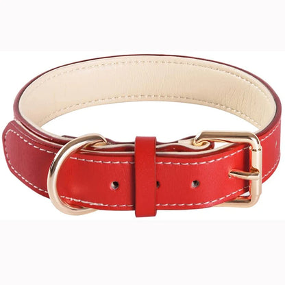 Genuine Leather Padded Dog Collar
